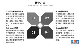 嘉定地區全日制電腦軟件開發學習機構與途徑指南
